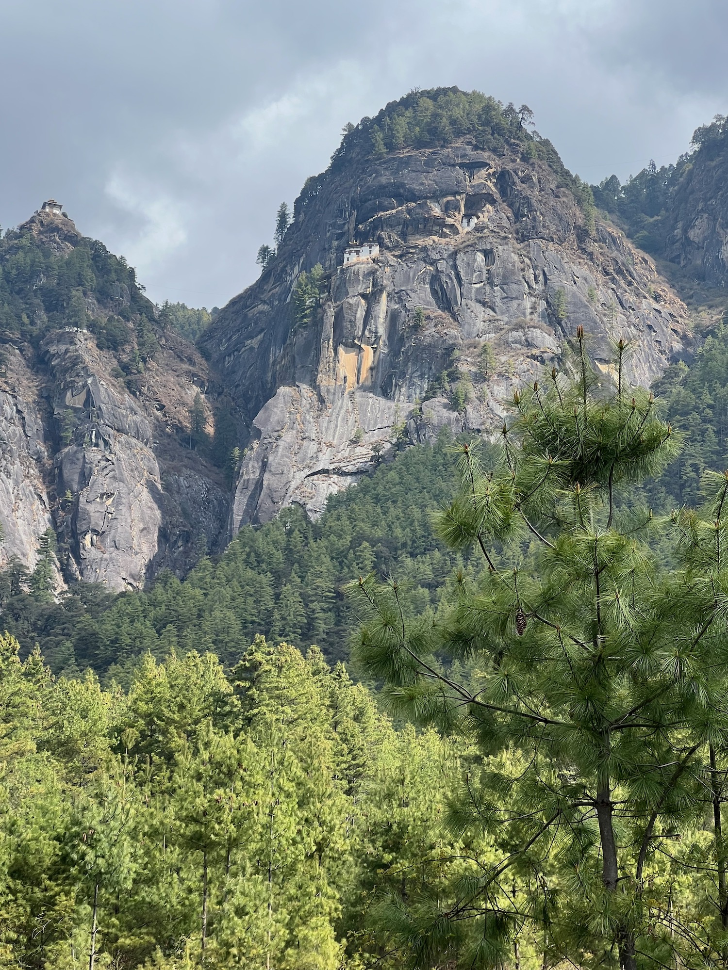 a mountain with trees and a cloudy sky