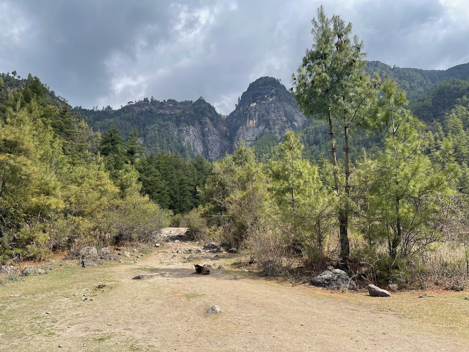 a dirt path with trees and mountains in the background