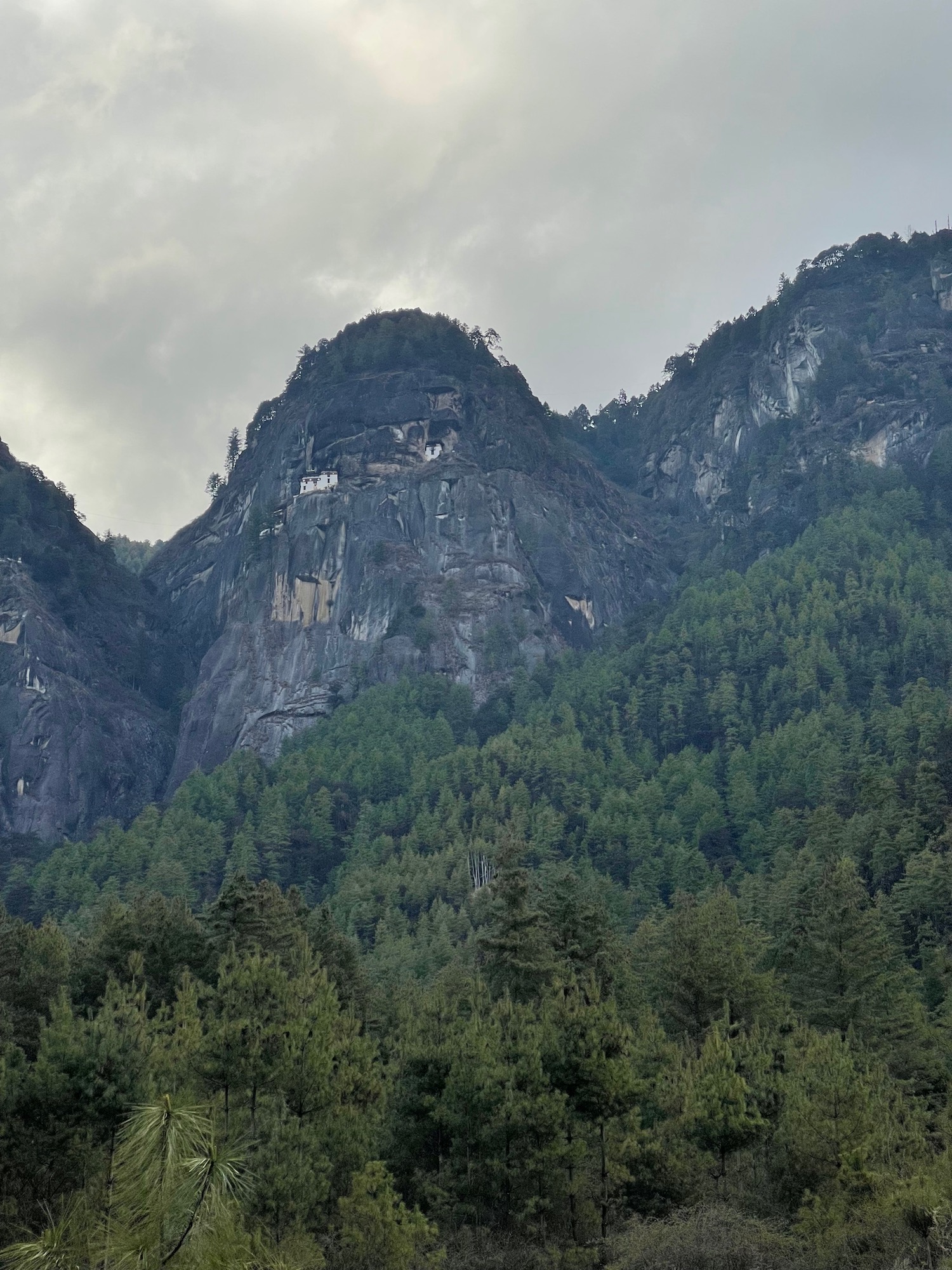 a mountain with trees and a house on the side