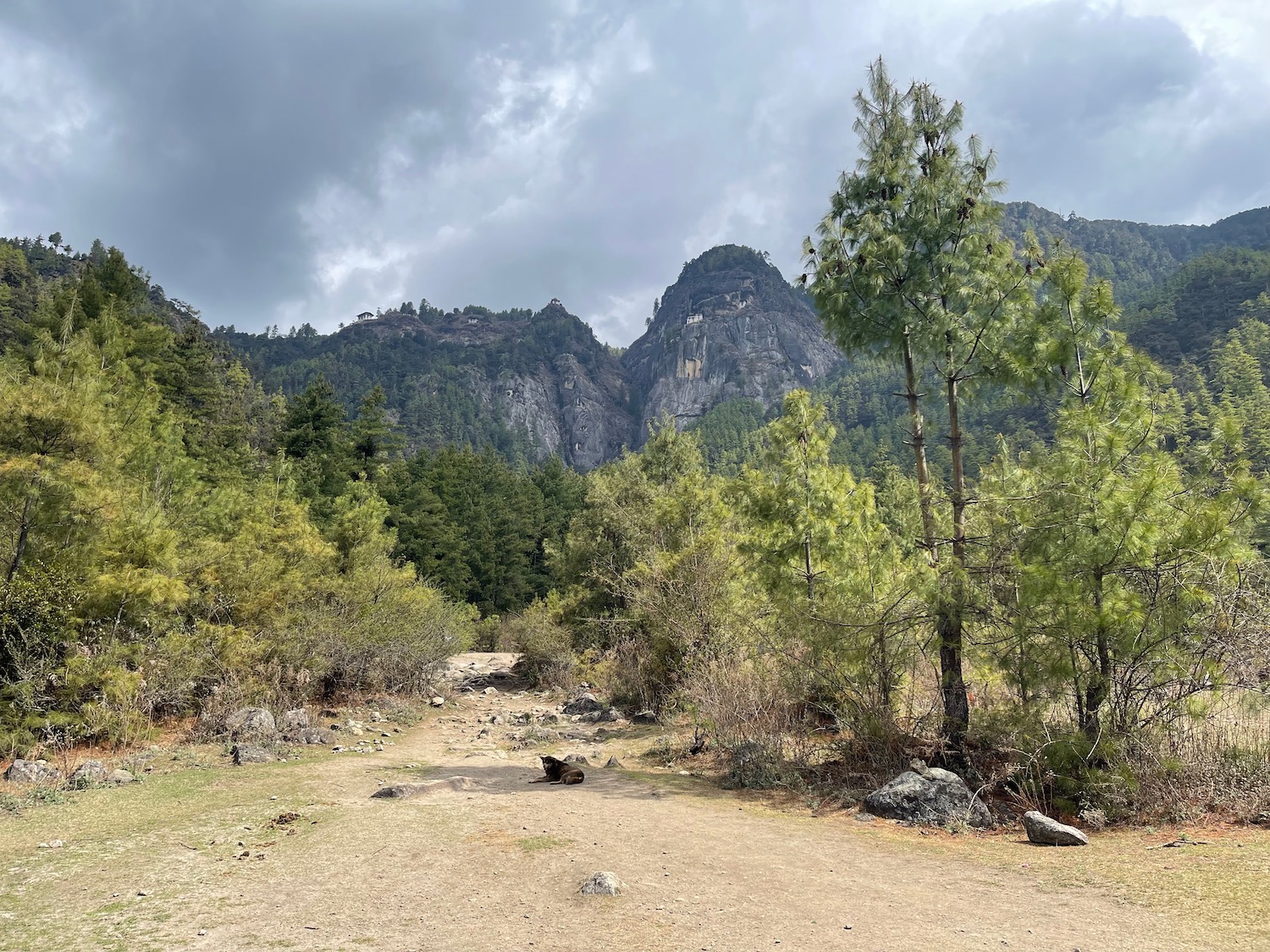 a dirt road with trees and mountains in the background