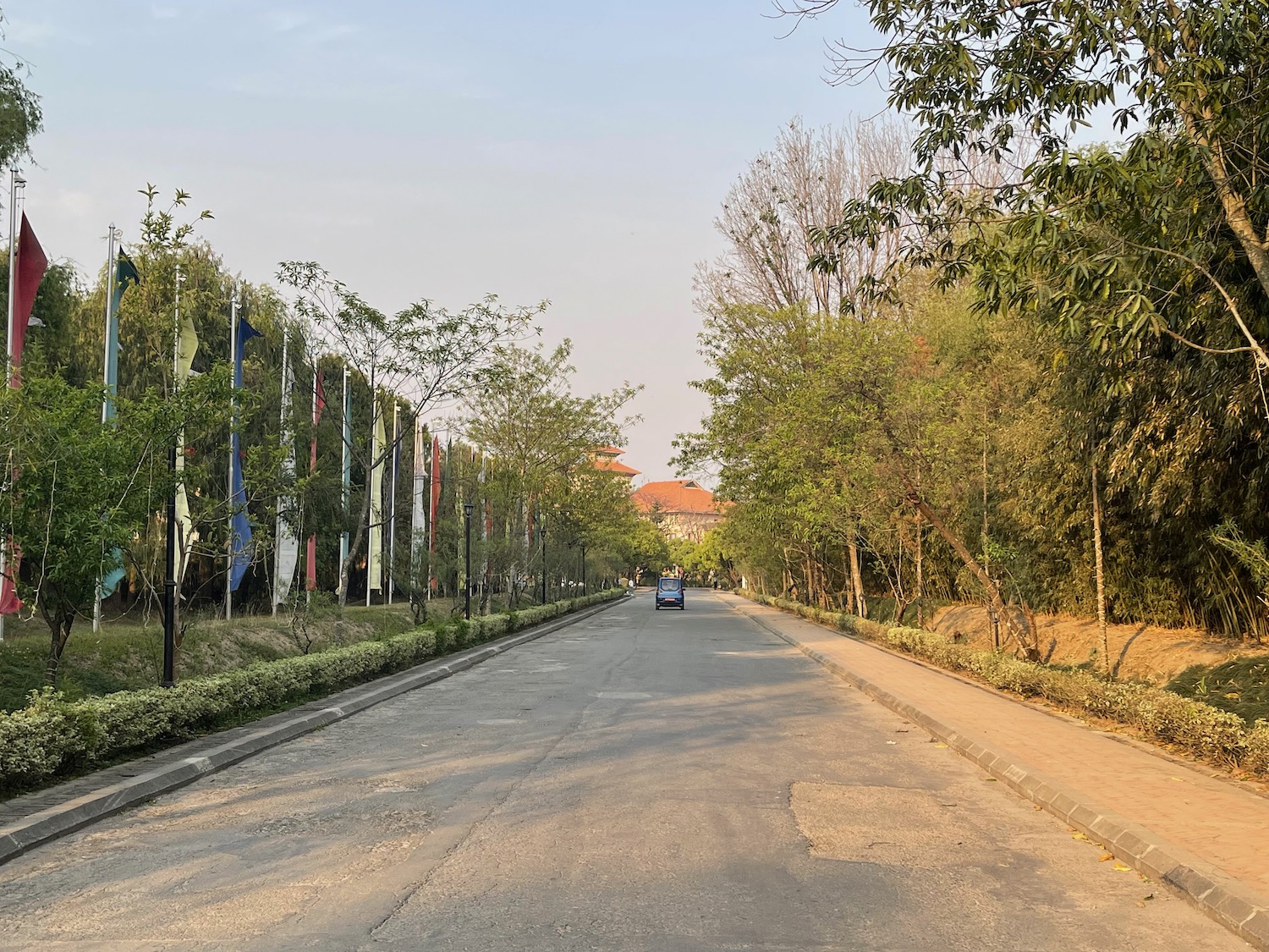 a road with trees and flags