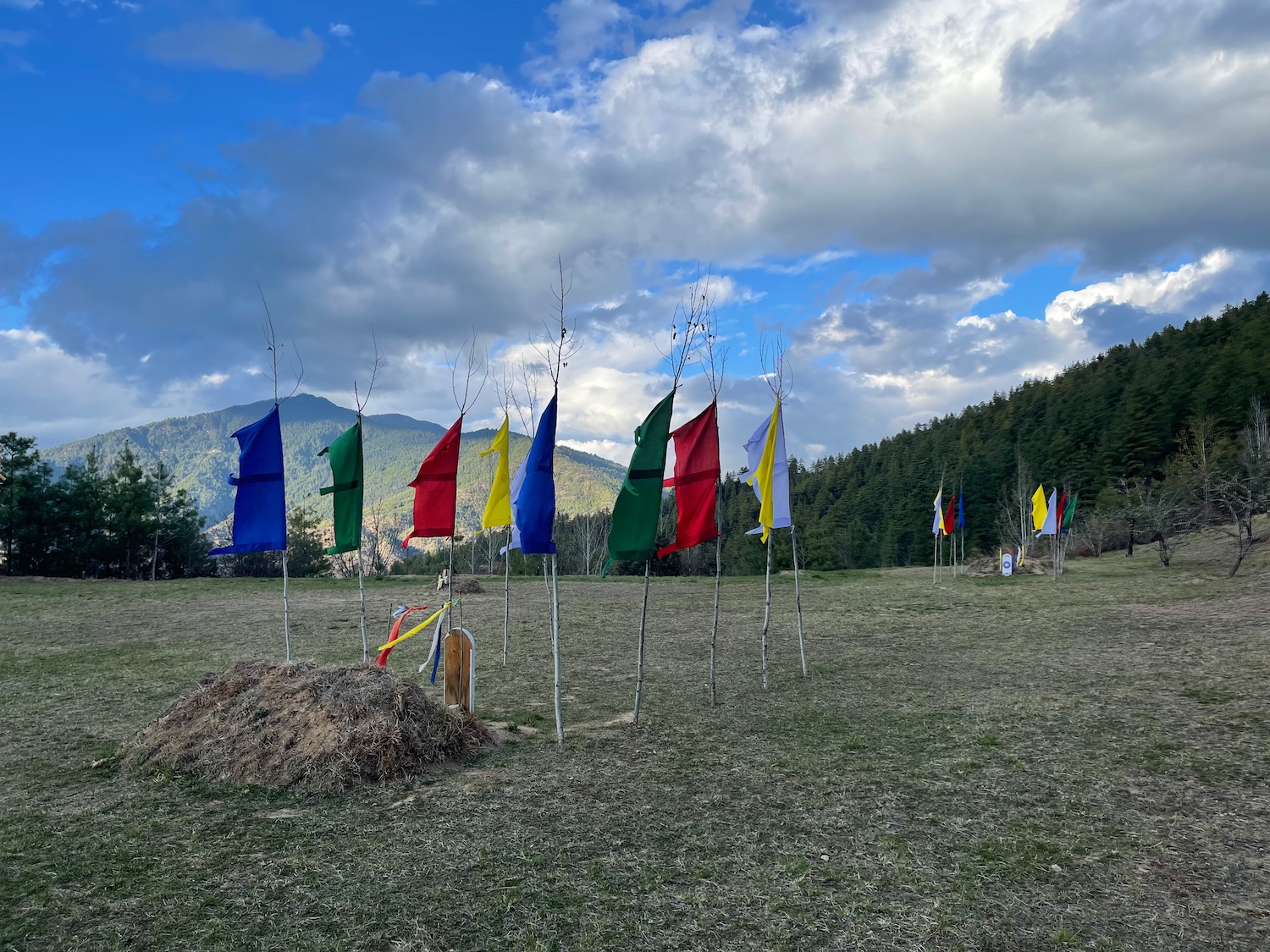 a group of flags in a field