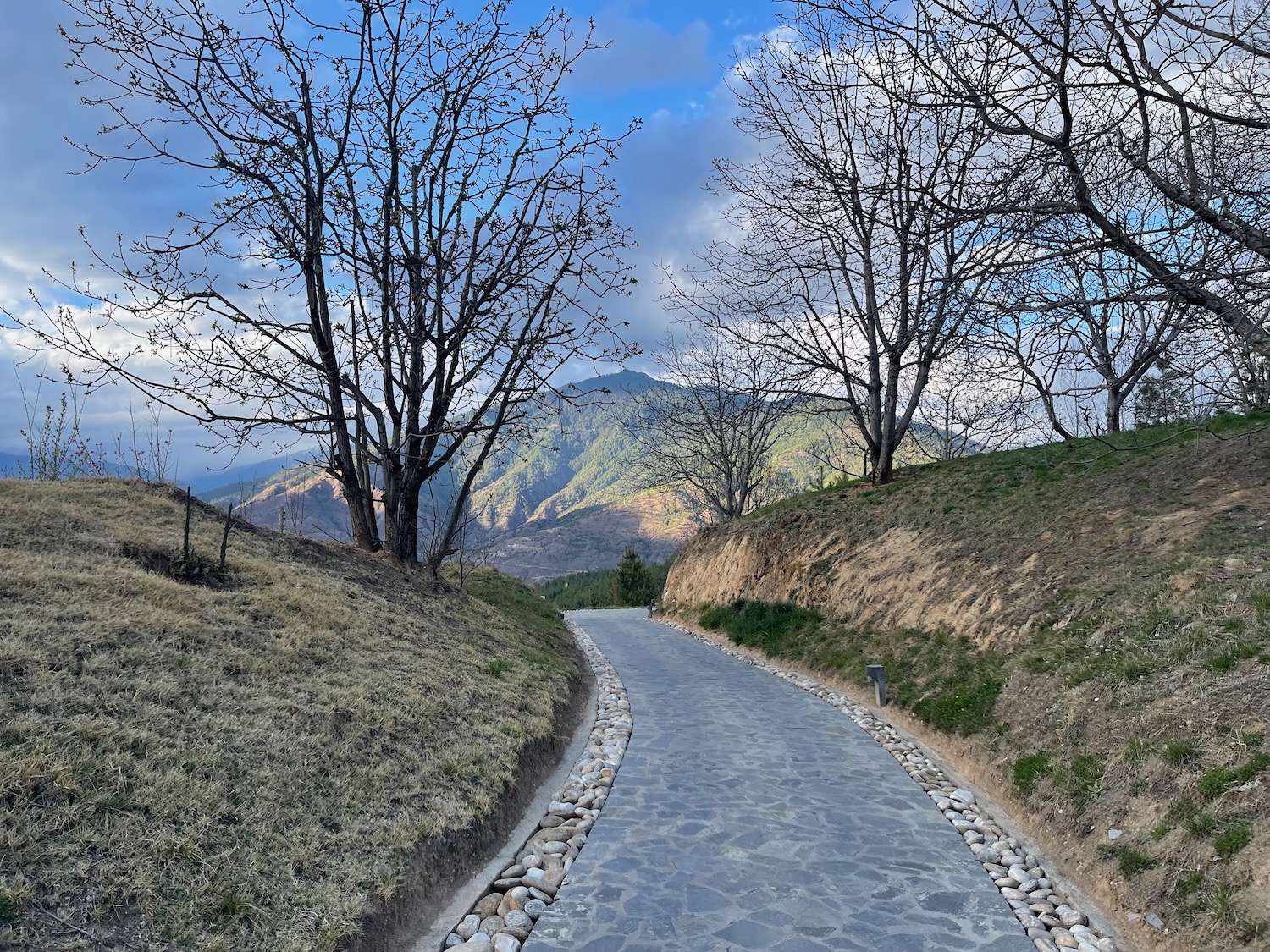 a stone path with trees and mountains in the background