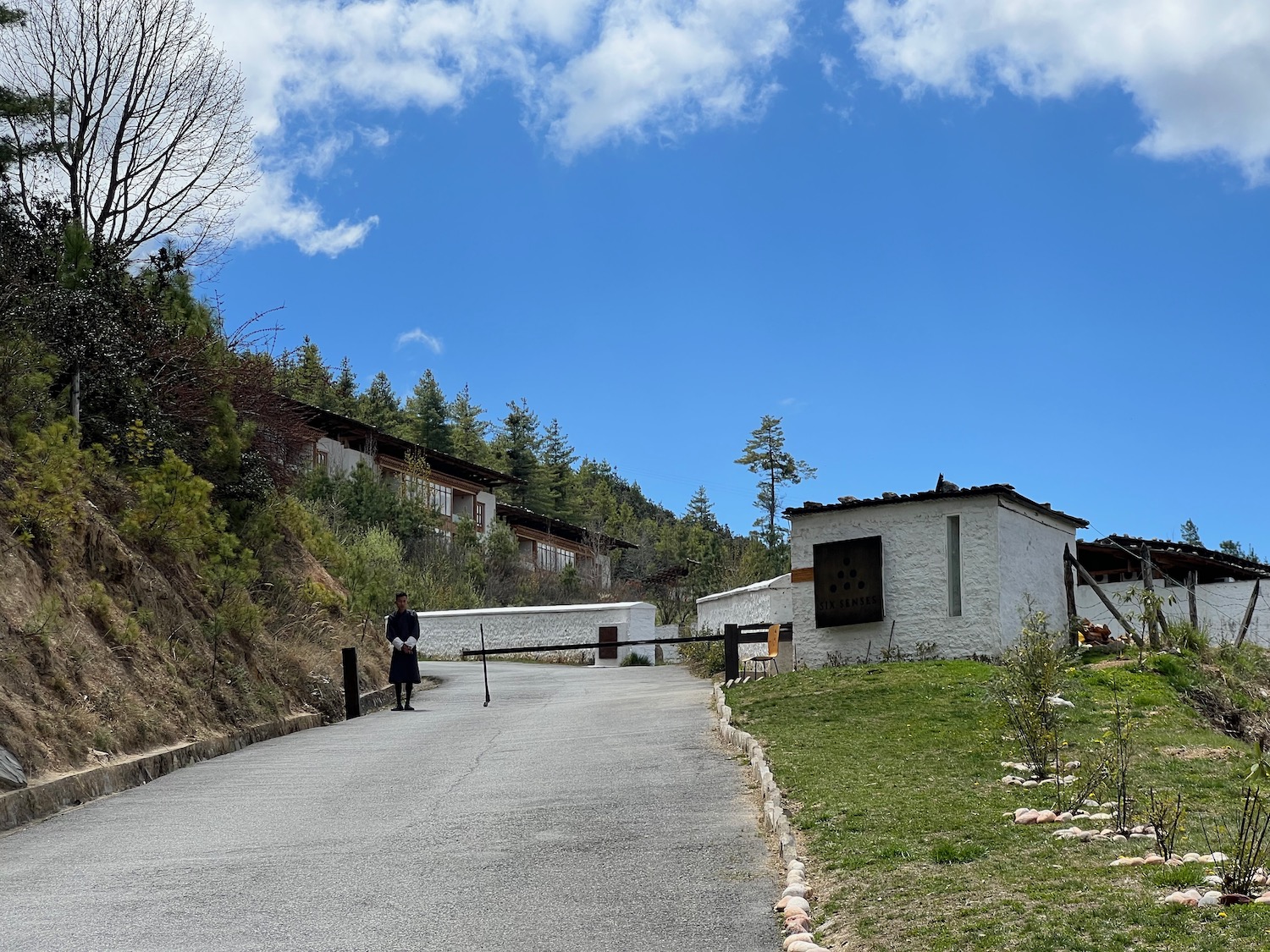 a person standing on a road