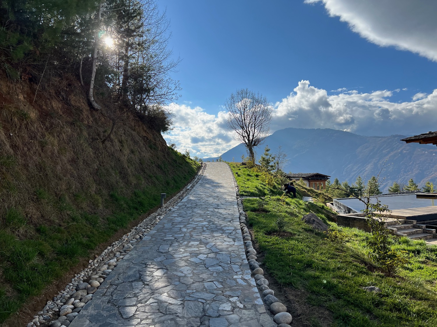 a stone path with trees and a hill in the background