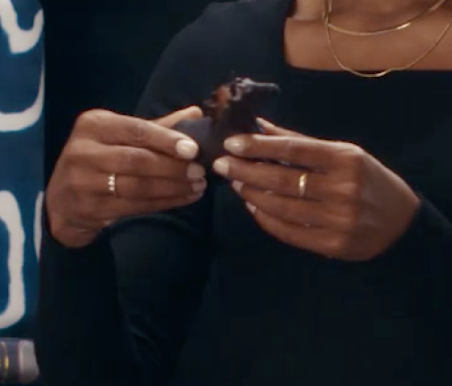 a person holding a small animal