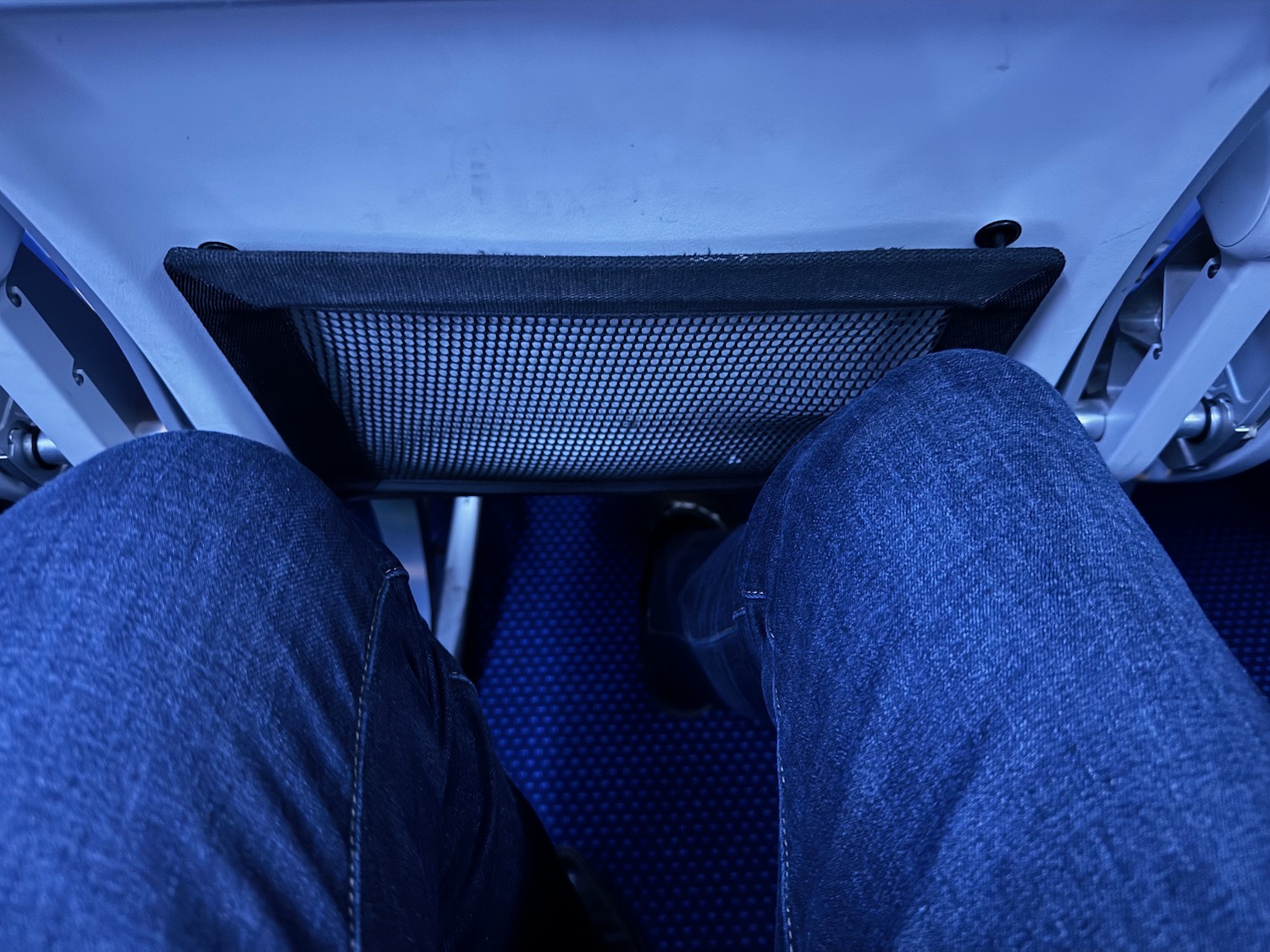 a person's legs in jeans and a mesh panel