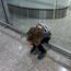 a boy sitting on a floor with his head in his hands