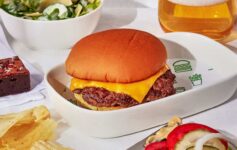 Delta Air Lines Shake Shack