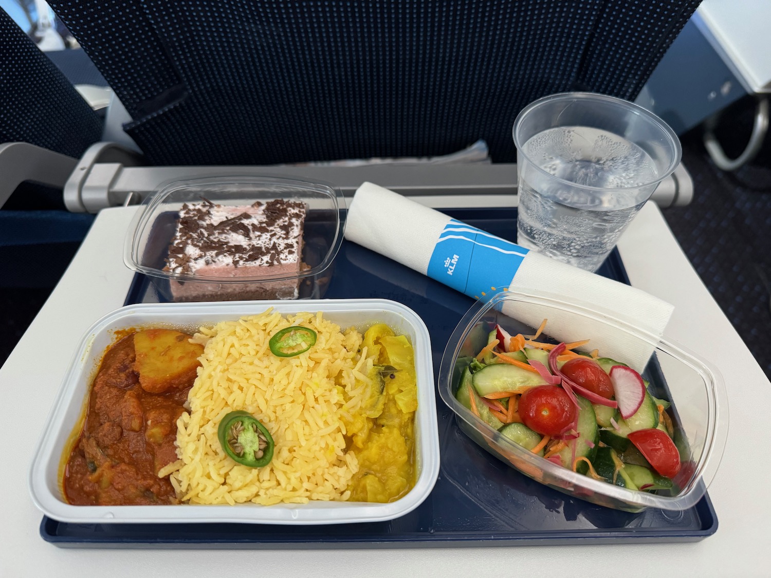 a tray of food on a plane