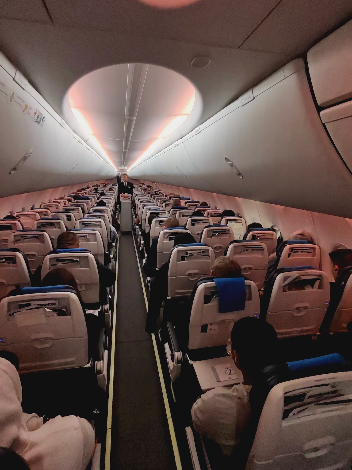 a plane with rows of seats