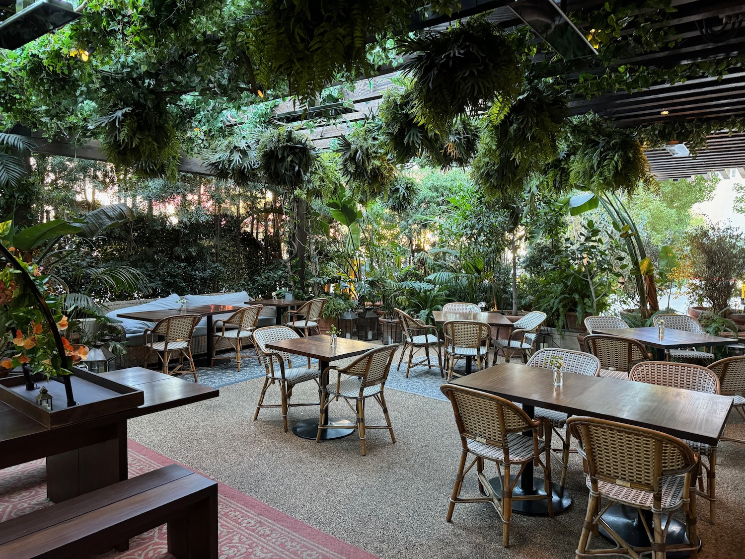 tables and chairs under a canopy of trees