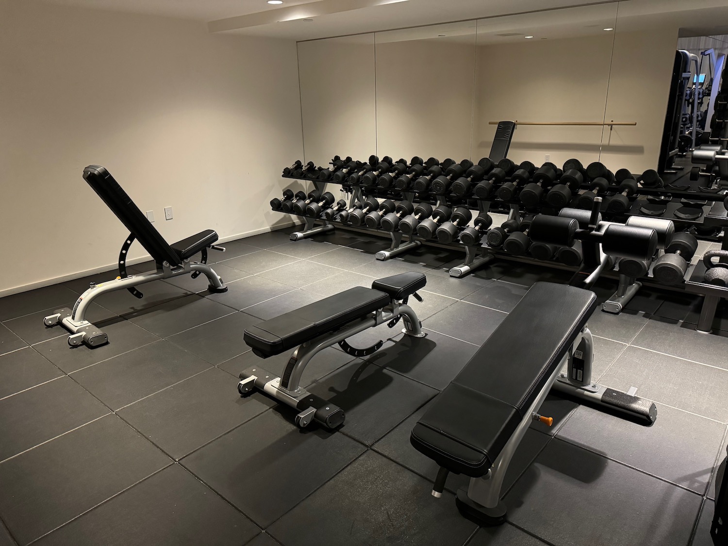 a gym with weights and a row of weights