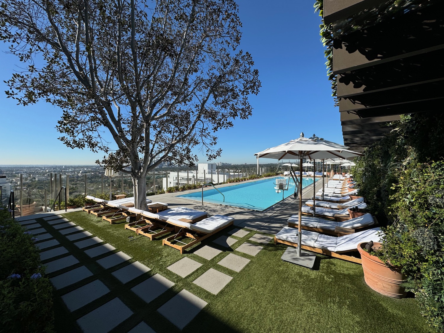 a pool with lounge chairs and umbrellas