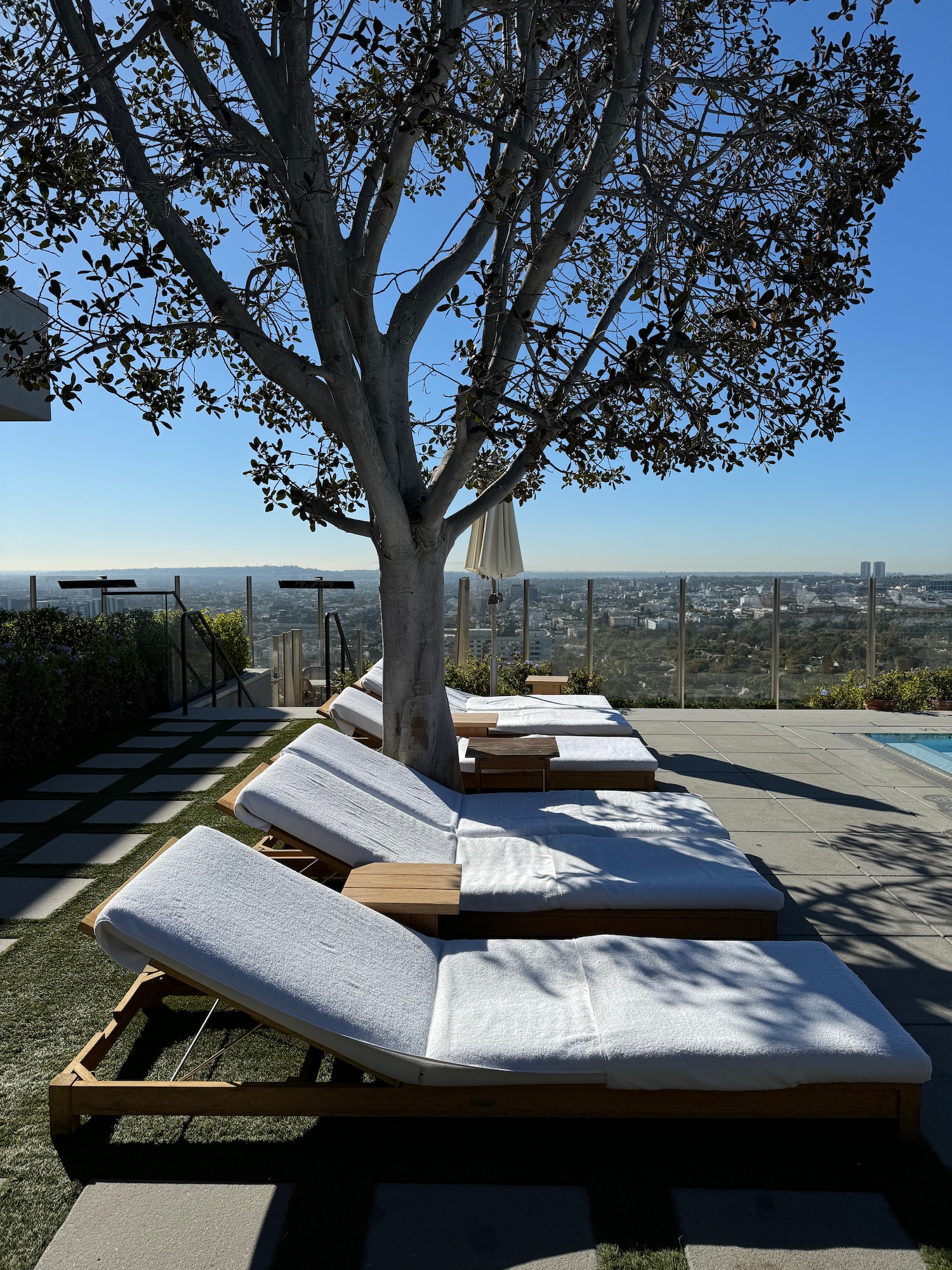 a group of lounge chairs under a tree