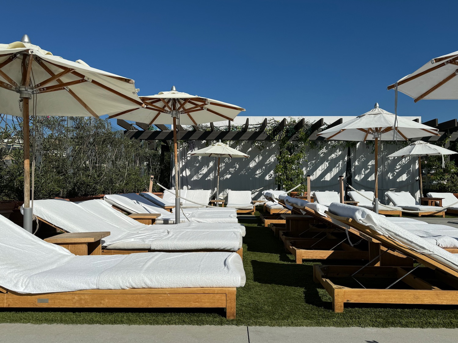 a group of lounge chairs and umbrellas