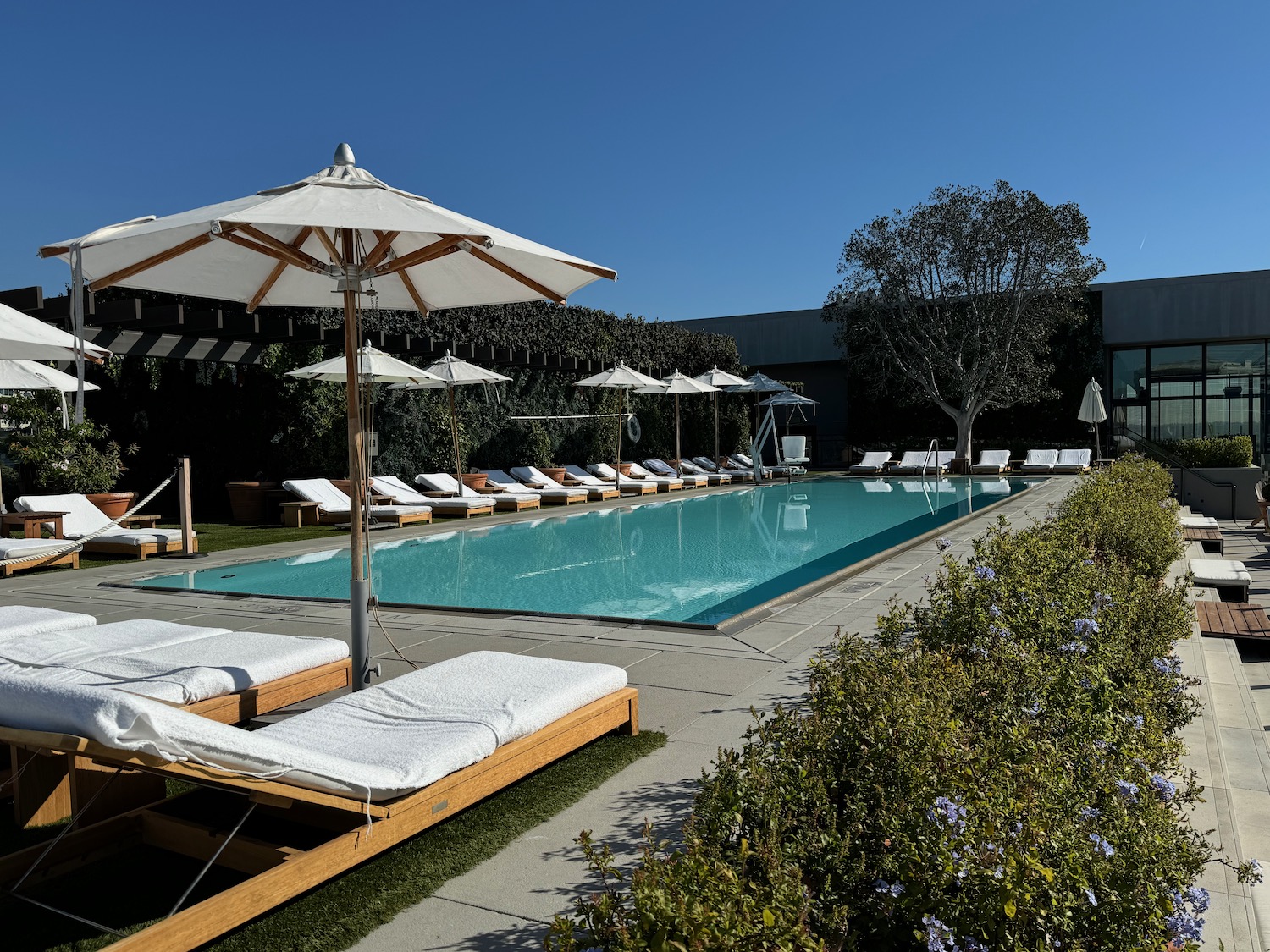 a pool with lounge chairs and umbrellas