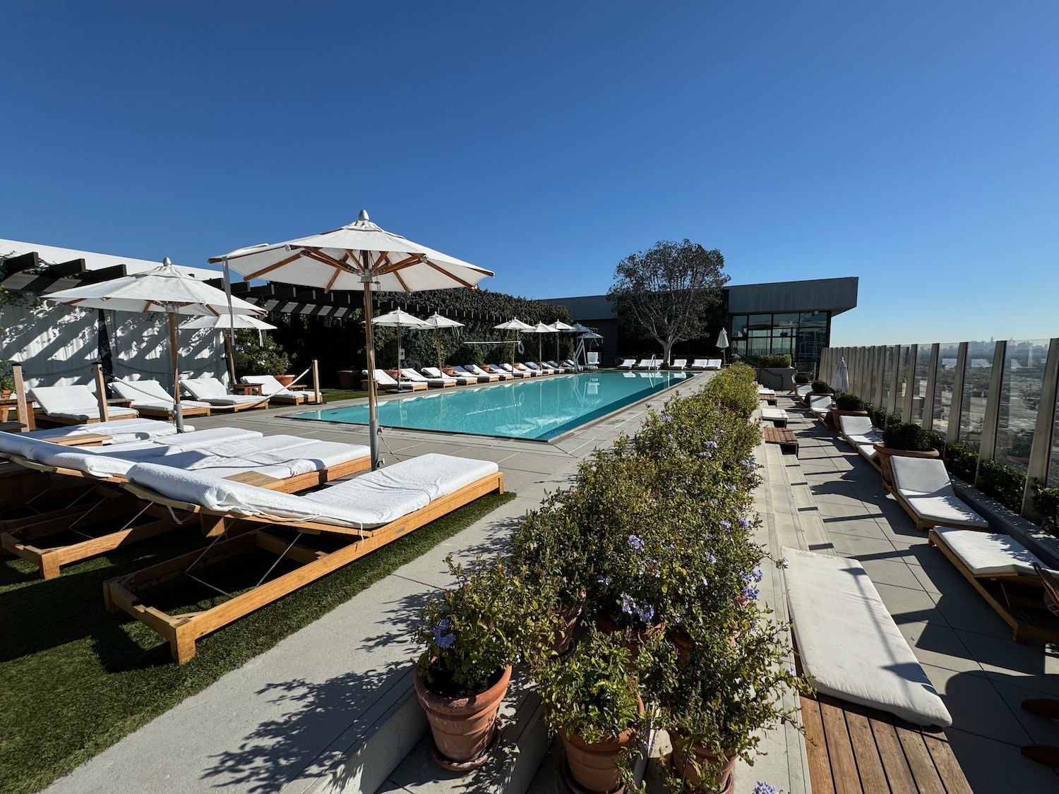 a pool with lounge chairs and umbrellas