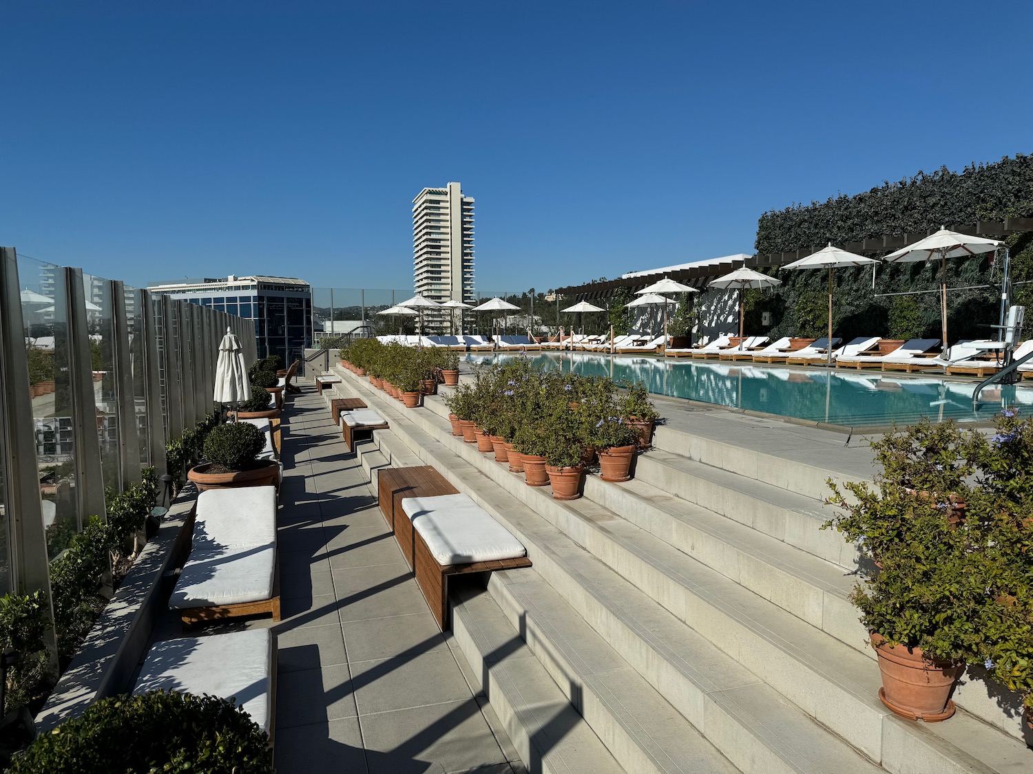 a pool with chairs and plants on the side