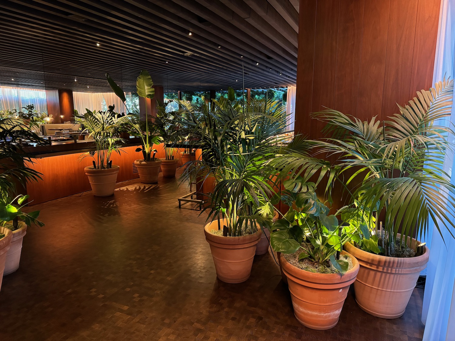 a group of potted plants in a room