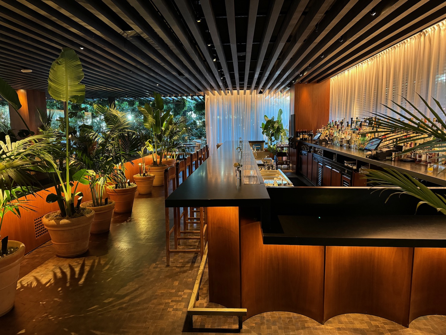 a bar with plants in pots