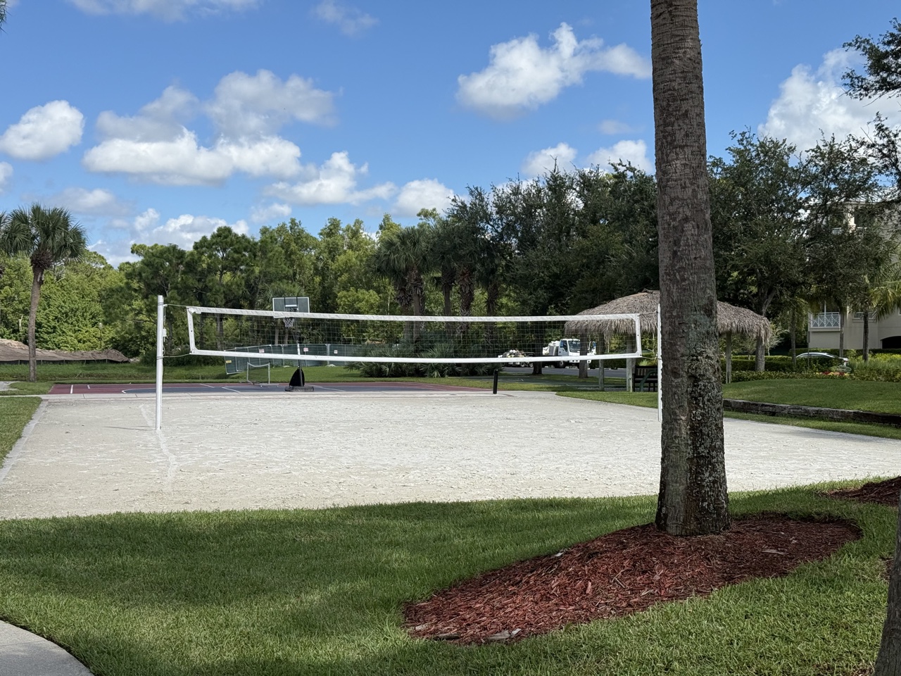 hyatt vacation club at coconut cove volleyball