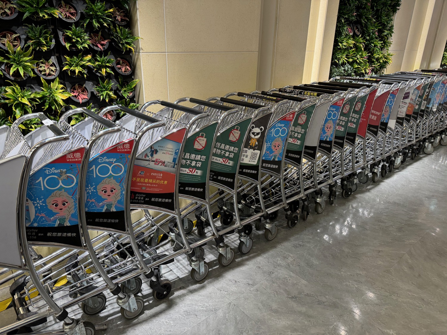 a row of luggage carts