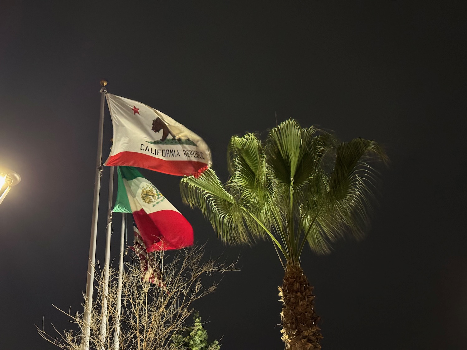 a flagpoles with flags flying in the wind