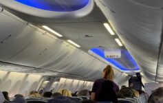 Delta passenger slaps flight attendant