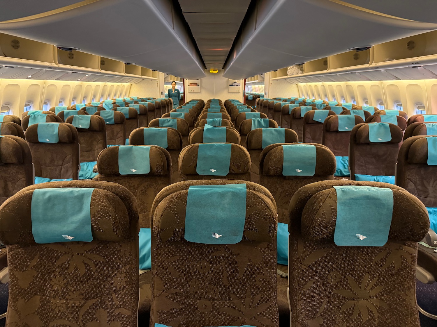 a rows of seats in an airplane