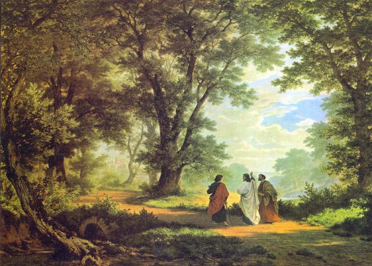 a group of people walking in a forest