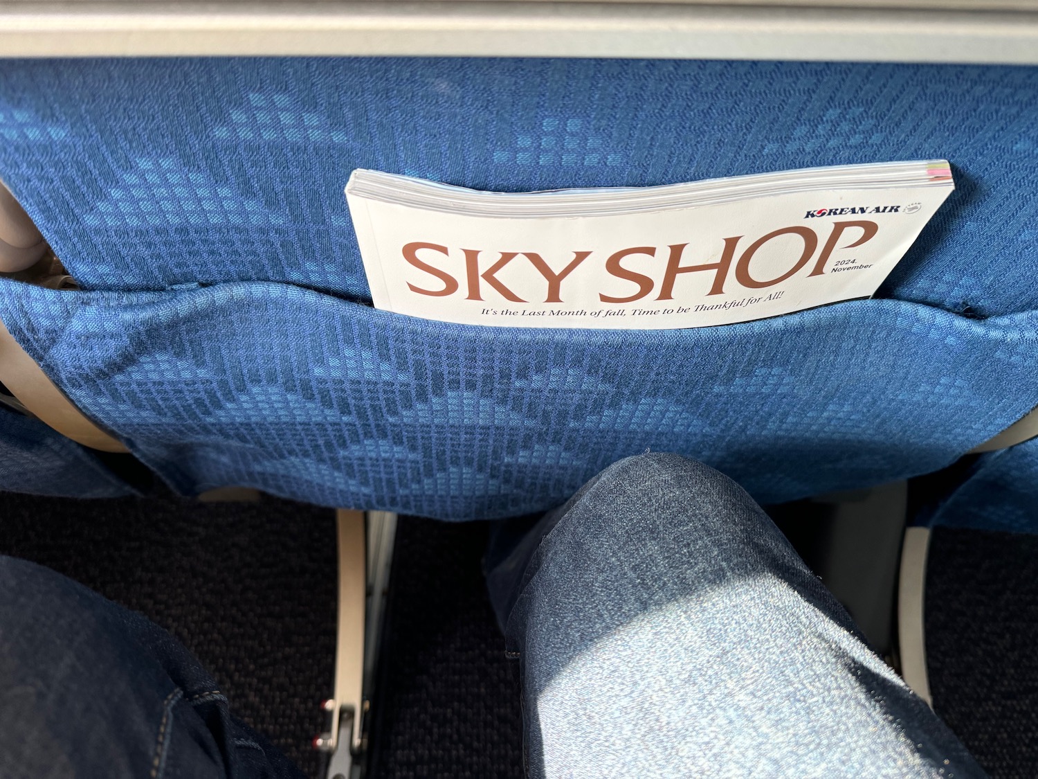 a magazine in a pocket of a seat