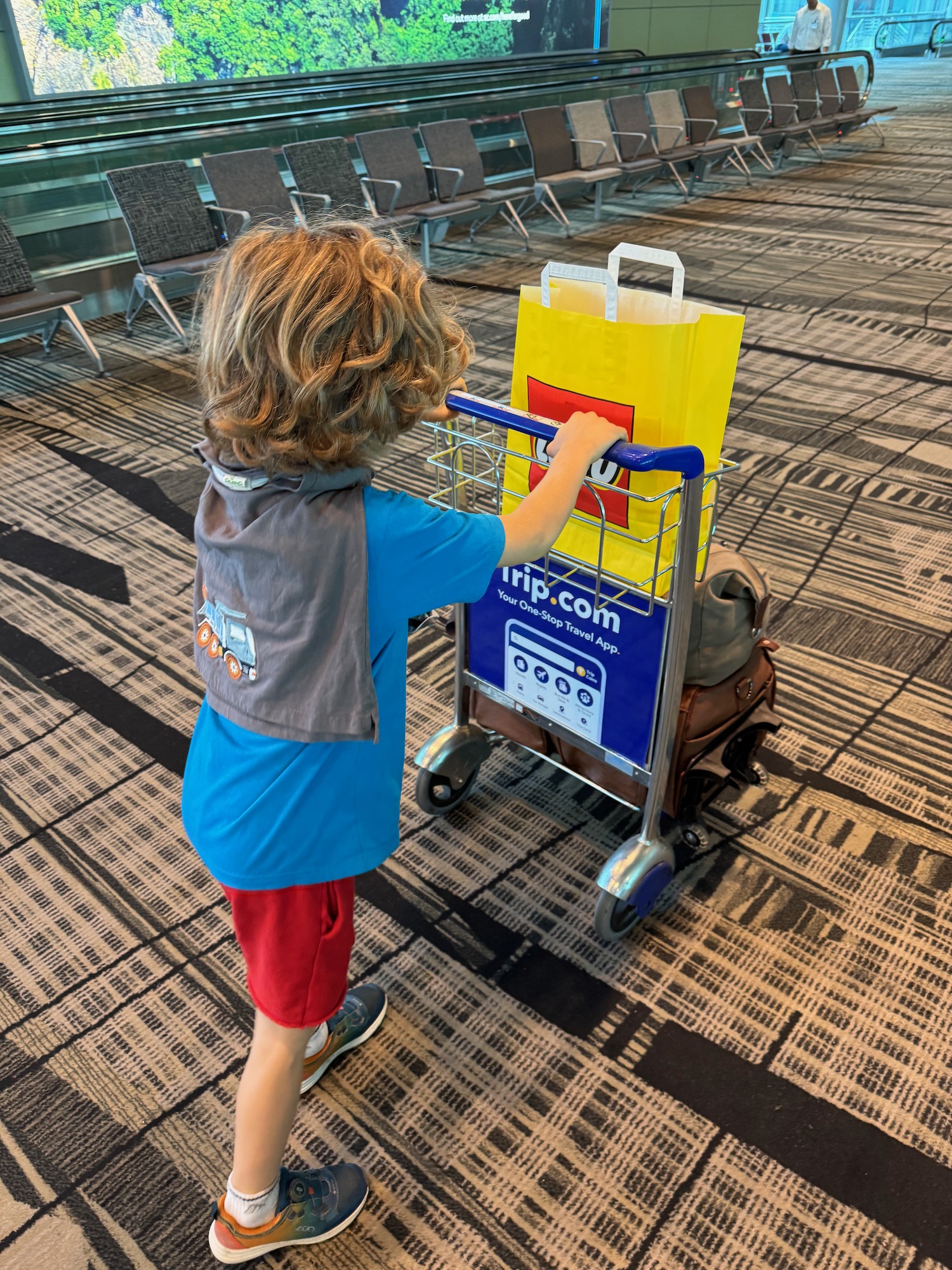 a child pushing a cart with a bag