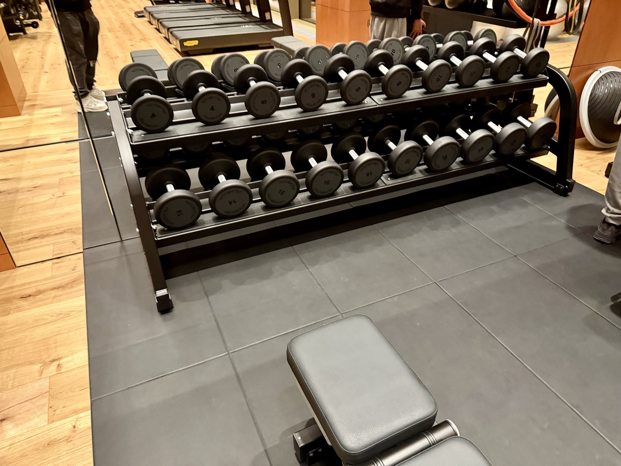 Park Hyatt London River Thames fitness center free weights