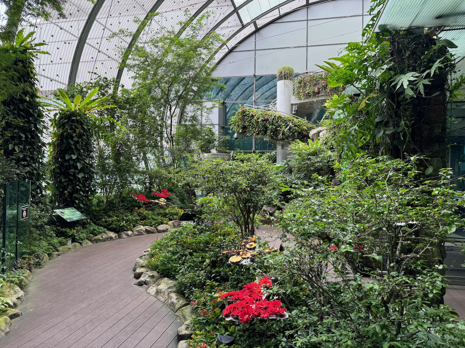 a walkway inside a greenhouse with plants and flowers