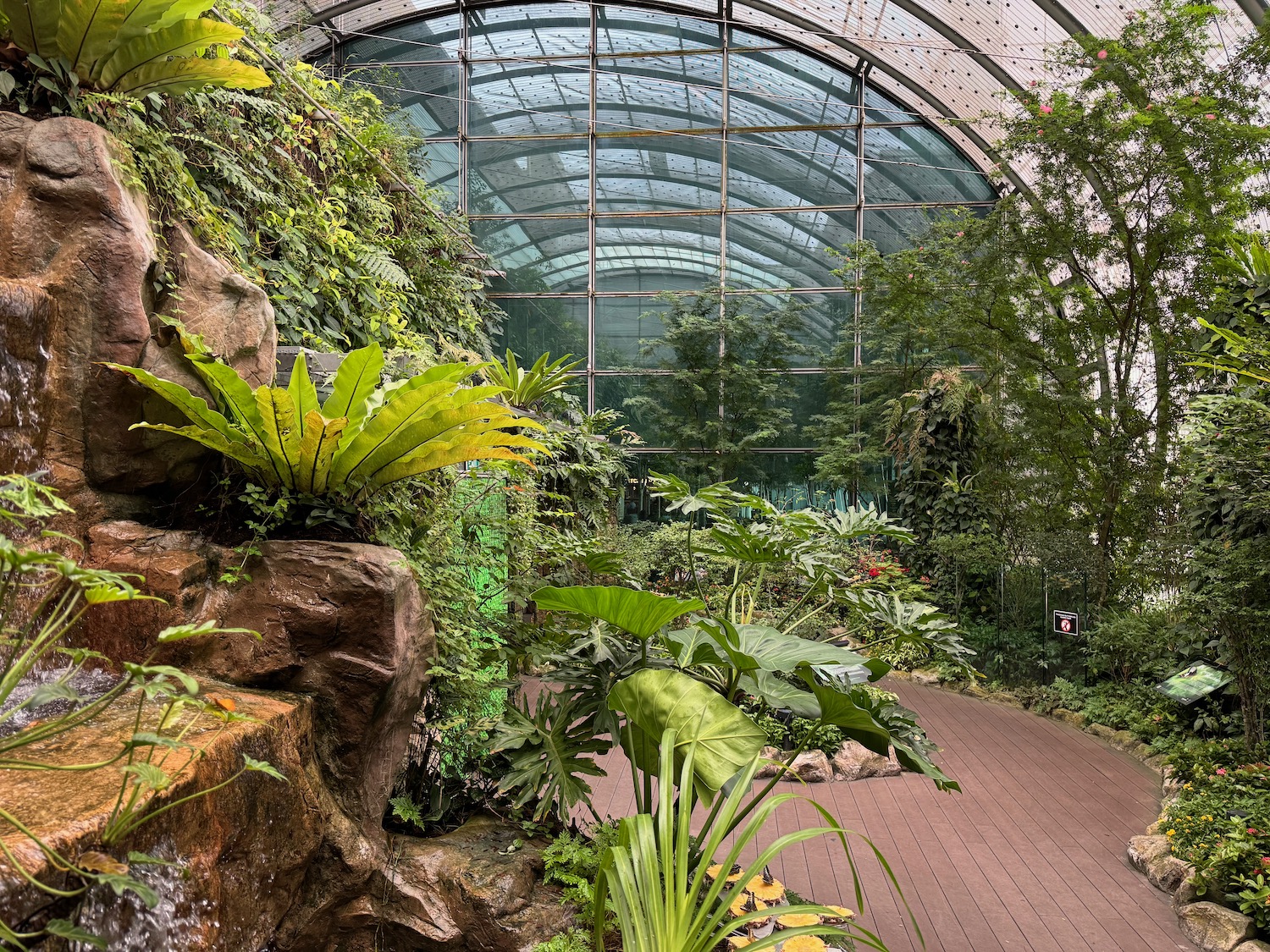 a glass ceiling with plants and trees