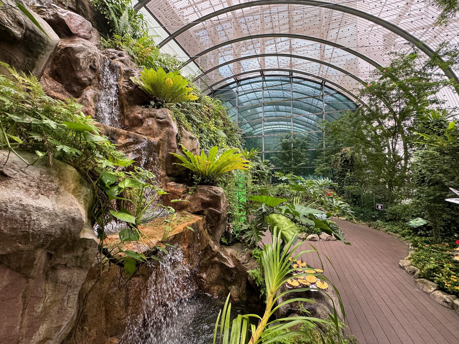 a waterfall in a greenhouse