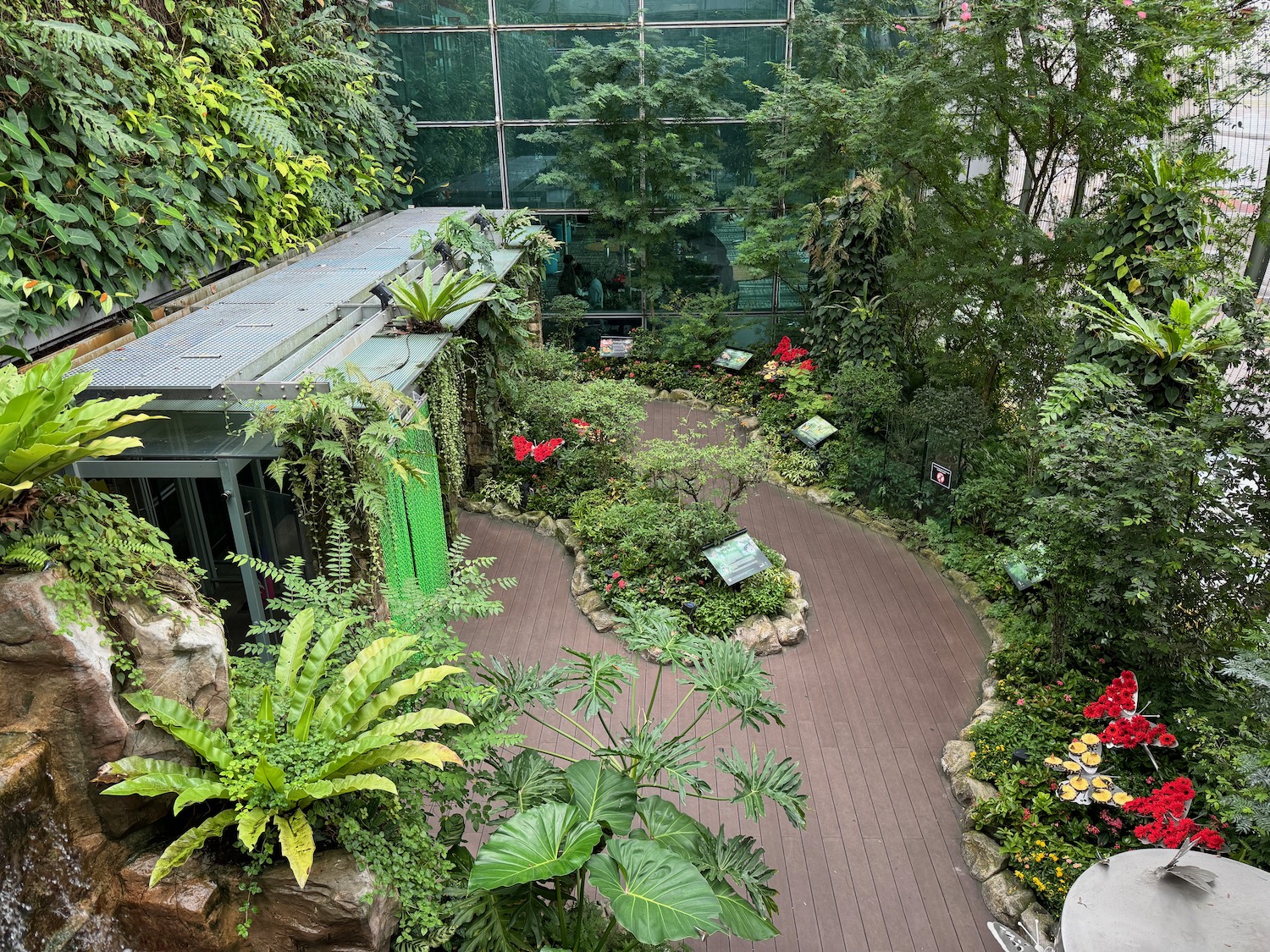 a walkway in a greenhouse with plants