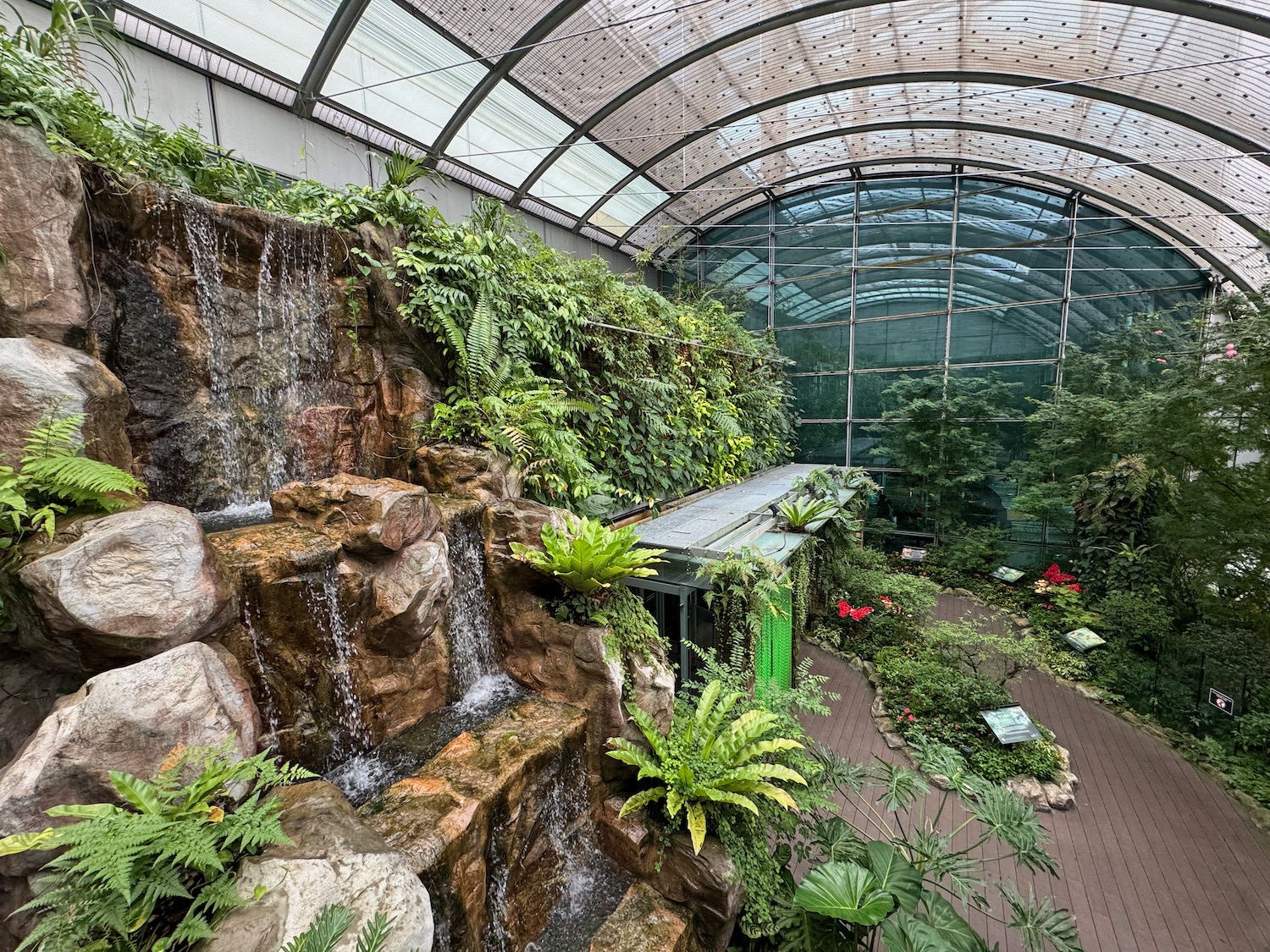 a waterfall in a greenhouse