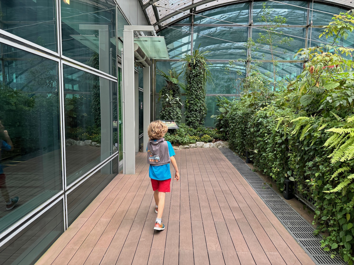 a child walking on a wood walkway with plants in the background