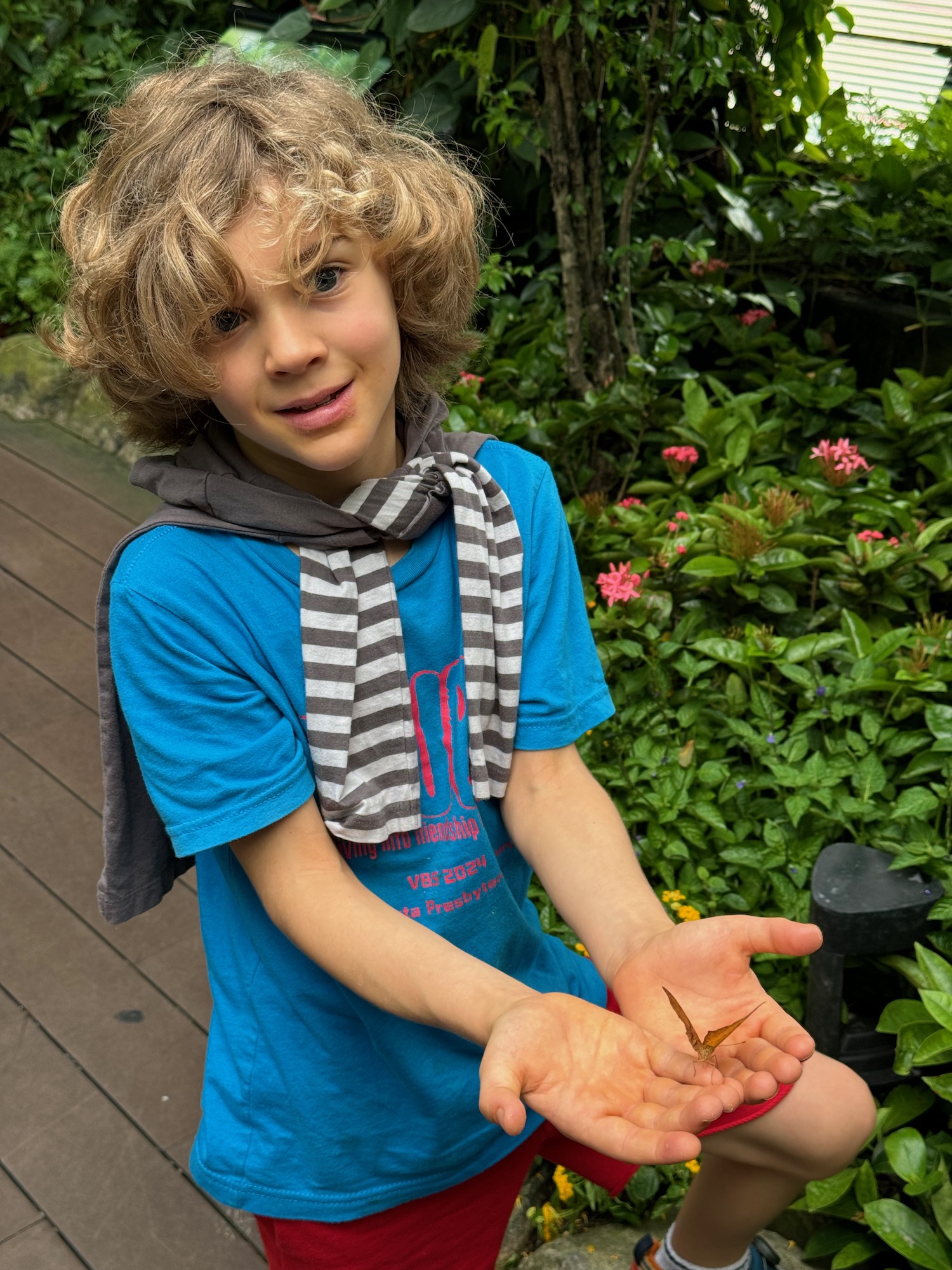 a boy holding a butterfly