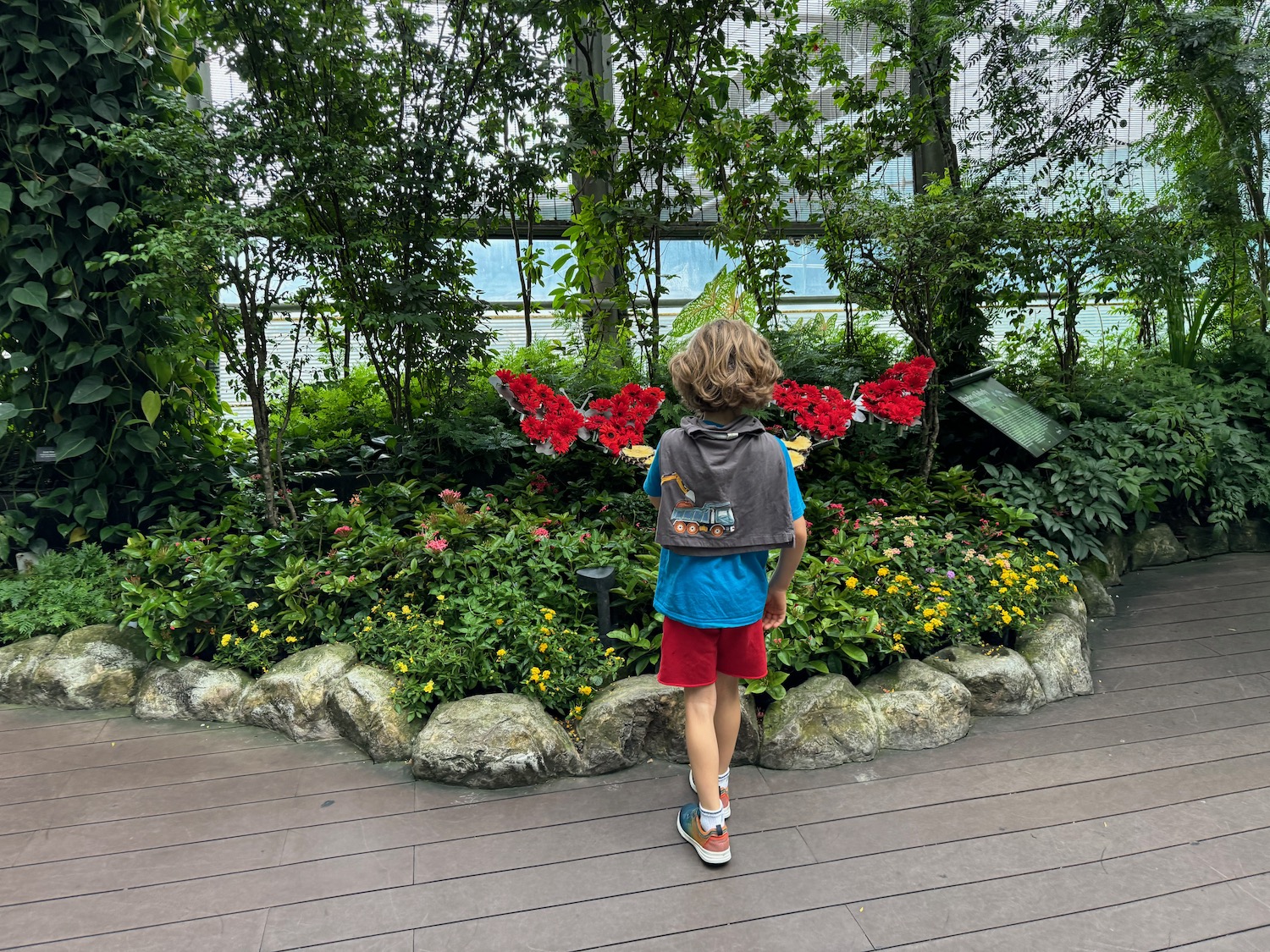 a child standing in a garden