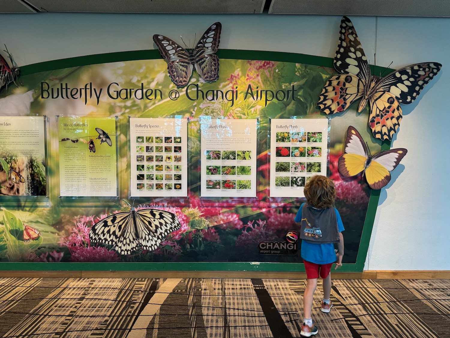 a child looking at a sign