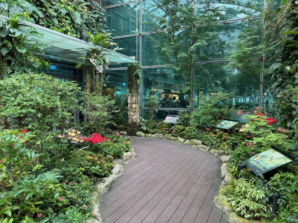 Butterfly Garden In Singapore Changi Airport Live And Let s Fly butterfly-garden-in-singapore-changi-airport-live-and-let-s-fly