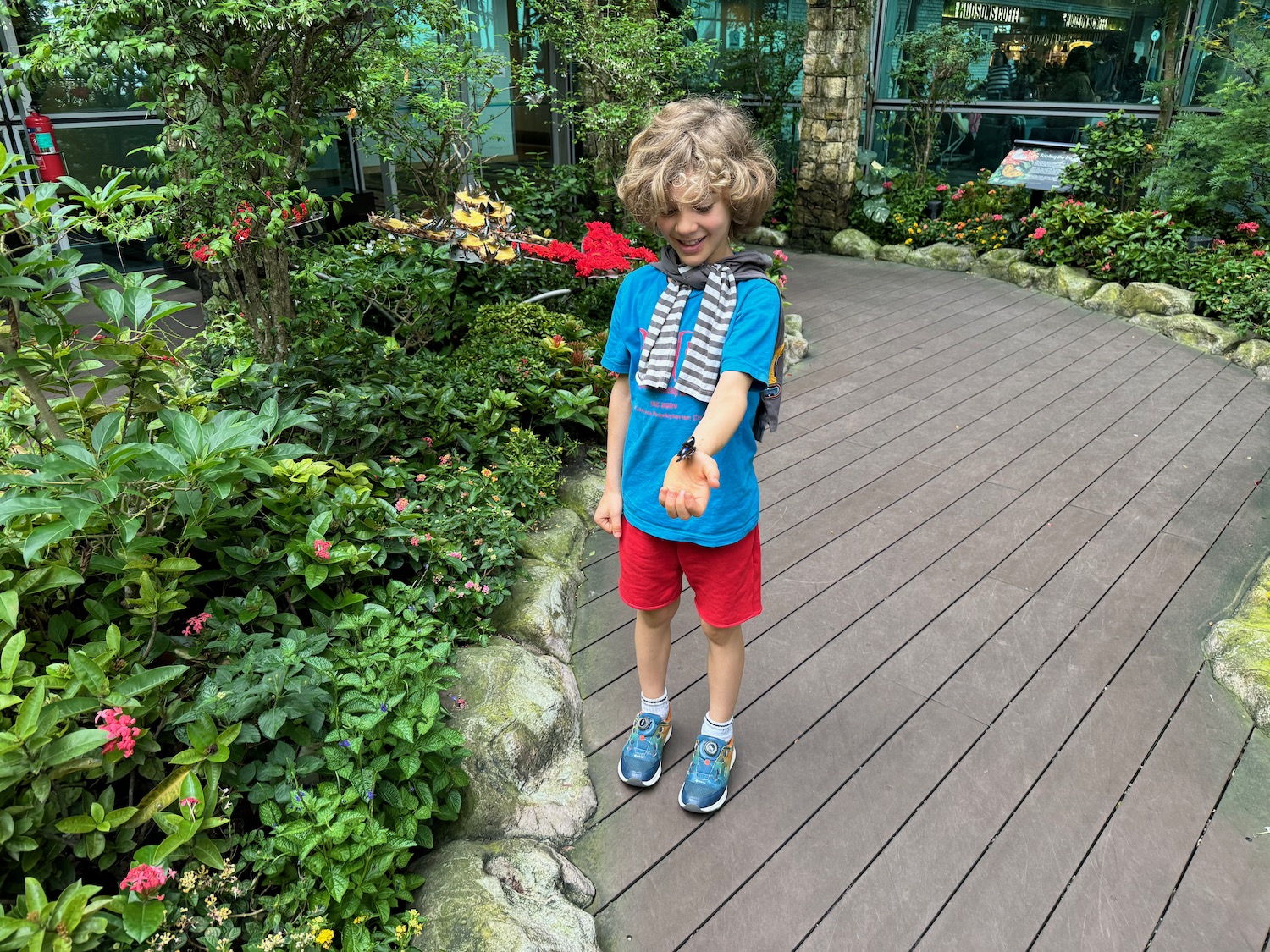 a boy standing on a wood deck