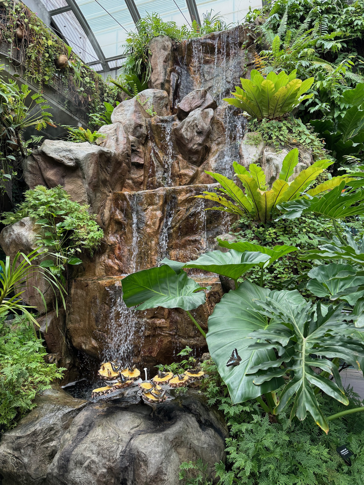 a waterfall in a garden