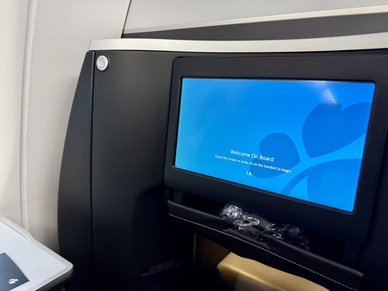 Aer Lingus business class IFE