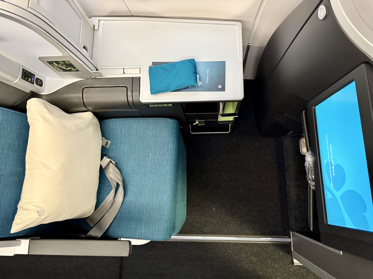 Aer Lingus business class a330 seat top