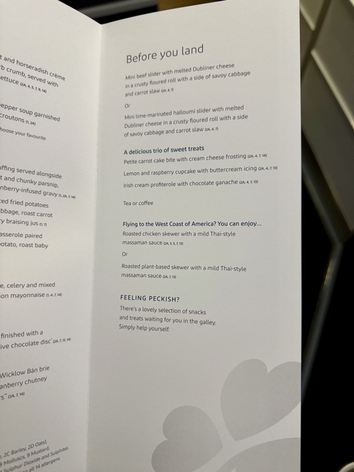 Aer Lingus business class upon arrival menu