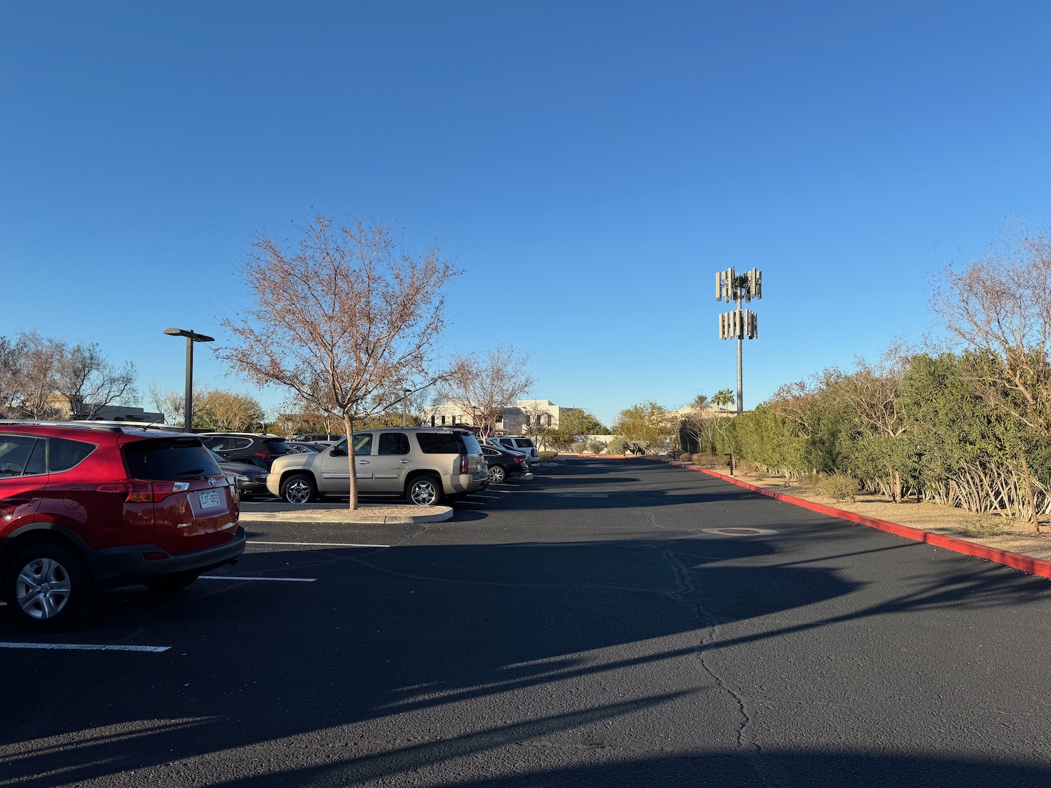 a parking lot with cars and trees